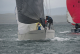 salamander xxii 3361c whyw17 sun gjmc 5551